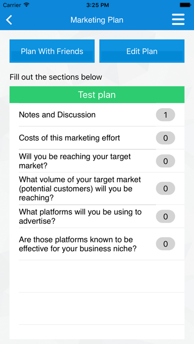 Marketing Plan & Strategy screenshot 2