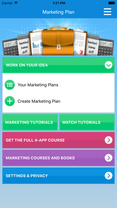Marketing Plan & Strategy screenshot 5