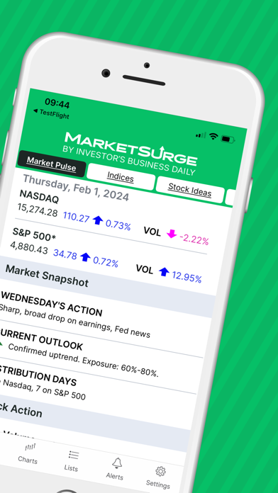 MarketSurge - Stock Research screenshot 4
