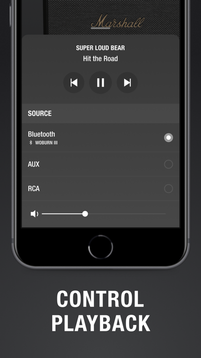 Marshall Bluetooth screenshot 5
