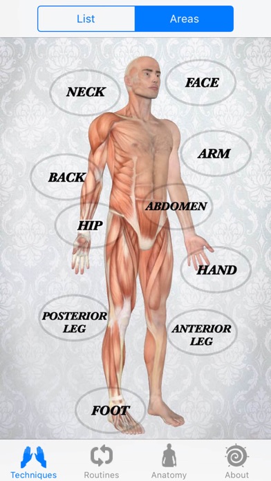 Massage Techniques screenshot 4