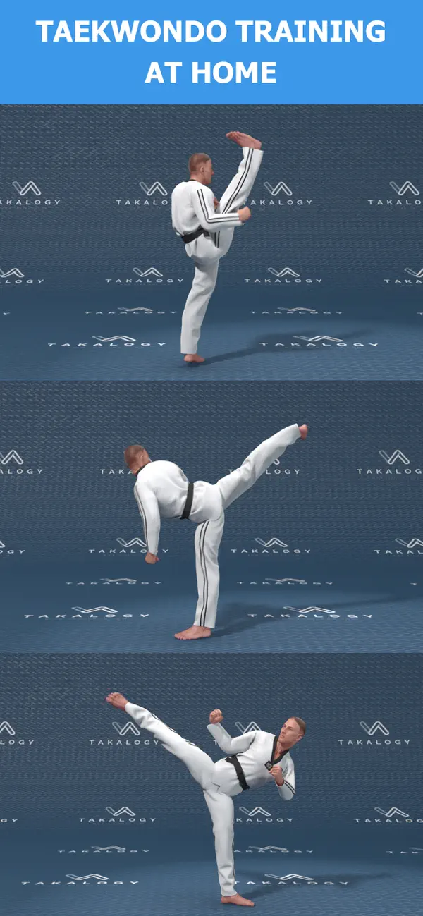 Mastering Taekwondo Training screenshot 1