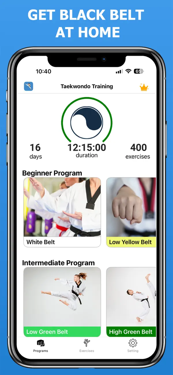 Mastering Taekwondo Training screenshot 4