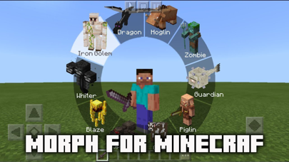 MCPE ADDONS - Morph Mods screenshot 4