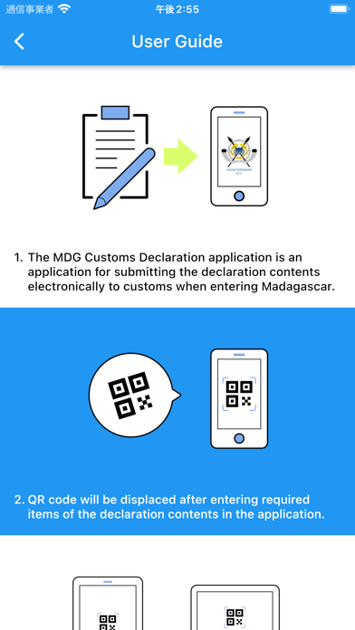MDG Customs Declaration App. screenshot 2