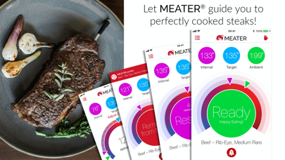 MEATER® Smart Meat Thermometer screenshot 2
