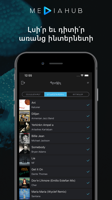 MediaHub - Armenian radios screenshot 1