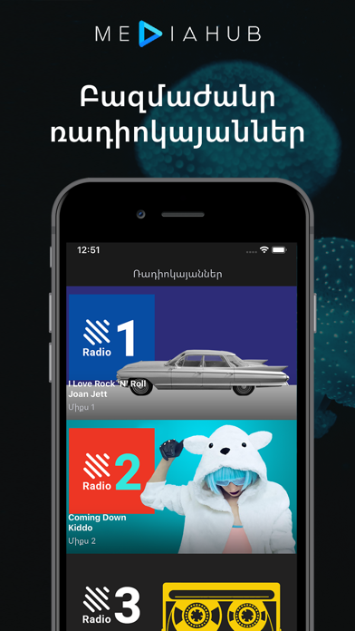 MediaHub - Armenian radios screenshot 5