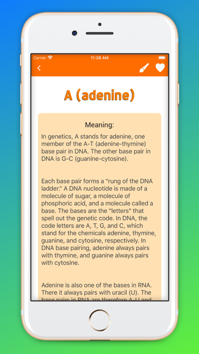 Medical Terminology Handbook screenshot 3