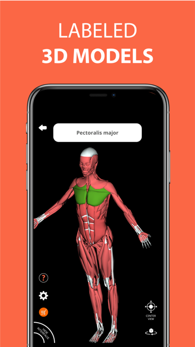 Medical Terminology Learning screenshot 1