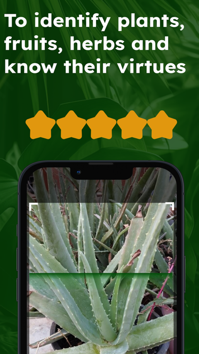 Medicinal herbs identification screenshot 6