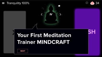 Meditation Easy: MindCraft screenshot 5