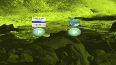 Meditations - Whales and Music screenshot 2