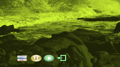 Meditations - Whales and Music screenshot 1