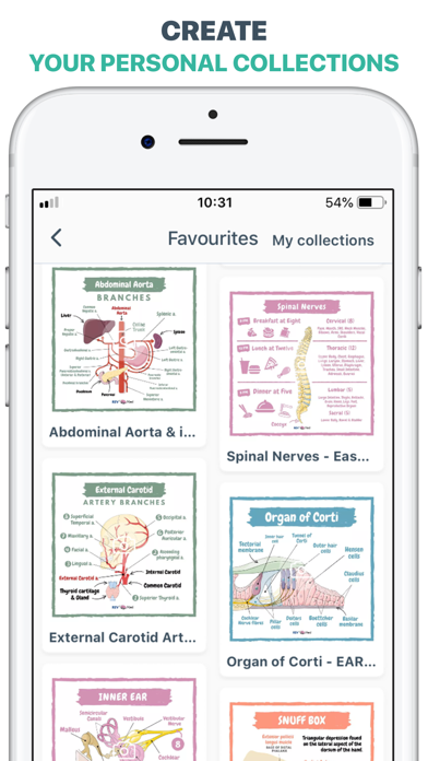 MEDizzy - Medical Exam Prep screenshot 3
