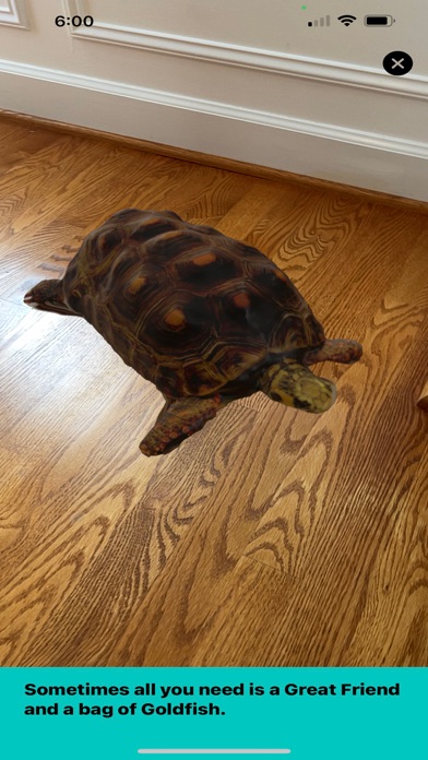 Meet Frank!! screenshot 1