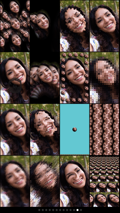 Mega Photo Pro screenshot 5