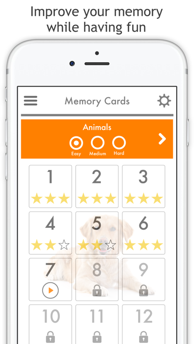 Memory Cards - Match Pairs Fun screenshot 4