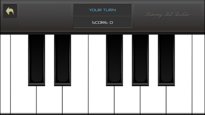 Memory Skill Builder screenshot 2