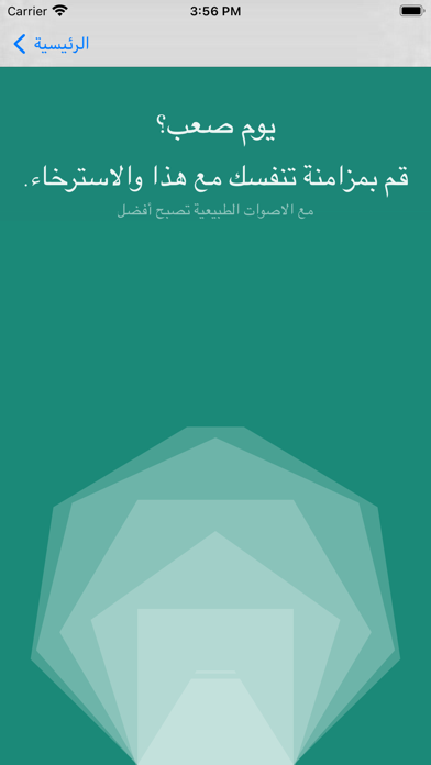 Mental jurnal Health Guide screenshot 4