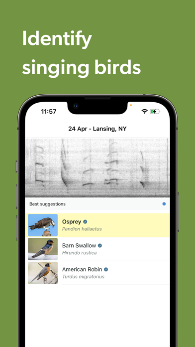 Merlin Bird ID by Cornell Lab screenshot 4