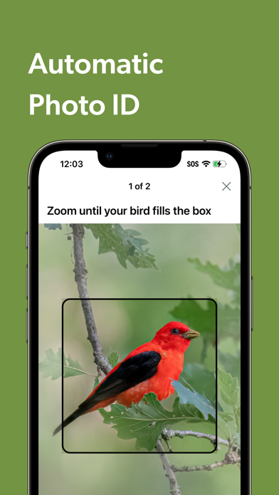 Merlin Bird ID by Cornell Lab screenshot 2