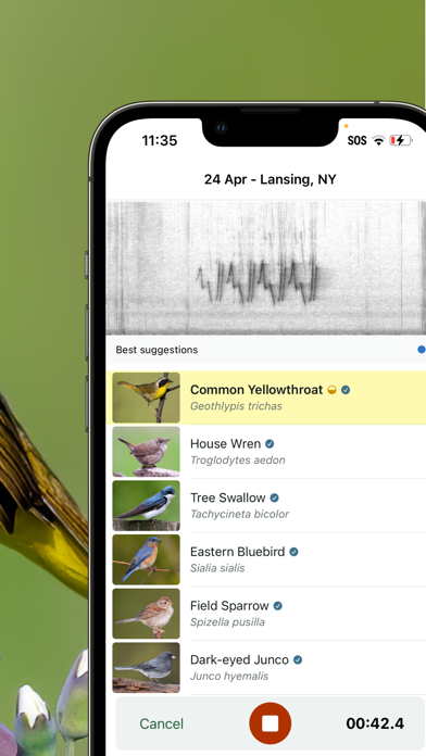 Merlin Bird ID by Cornell Lab screenshot 6