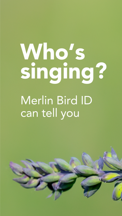 Merlin Bird ID by Cornell Lab screenshot 8