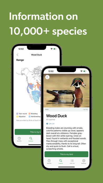 Merlin Bird ID by Cornell Lab screenshot 1