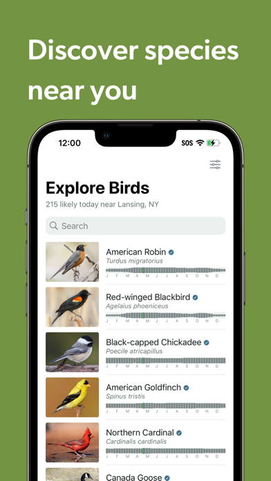 Merlin Bird ID by Cornell Lab screenshot 5