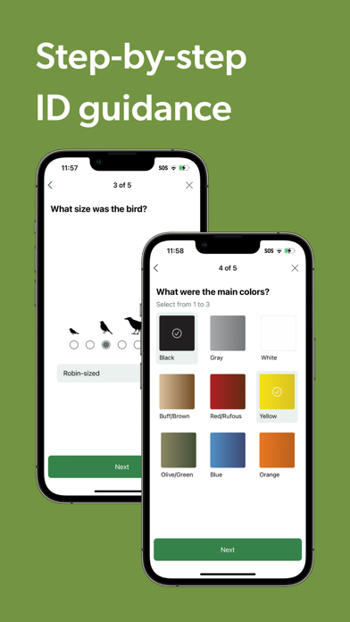 Merlin Bird ID by Cornell Lab screenshot 3