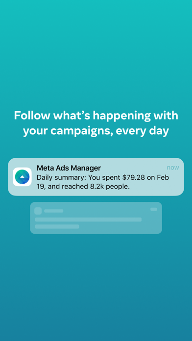 Meta Ads Manager screenshot 1