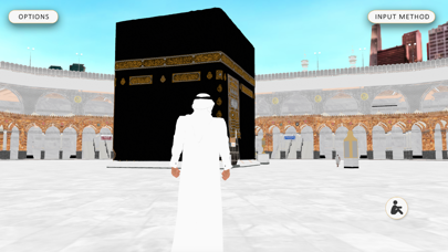 MetaMosque screenshot 1