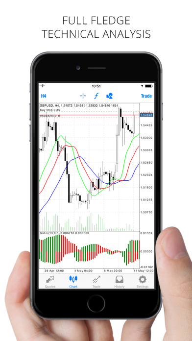 MetaTrader 4 screenshot 3