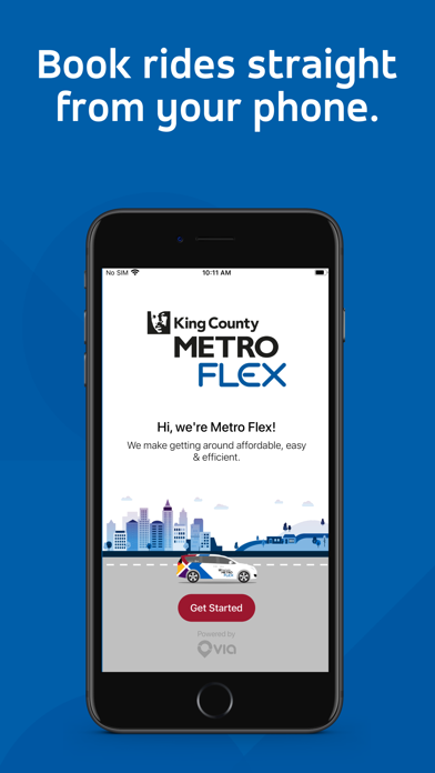 Metro Flex screenshot 4