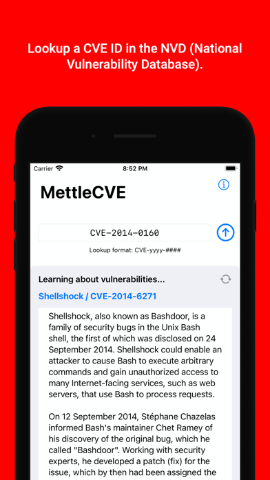 MettleCVE screenshot 4