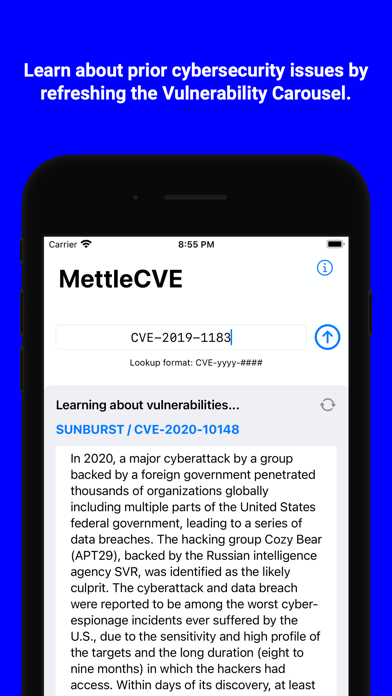 MettleCVE screenshot 1
