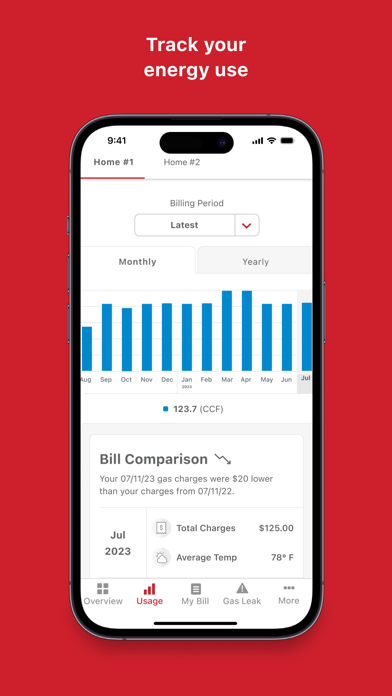 Michigan Gas Utilities (MGU) screenshot 6