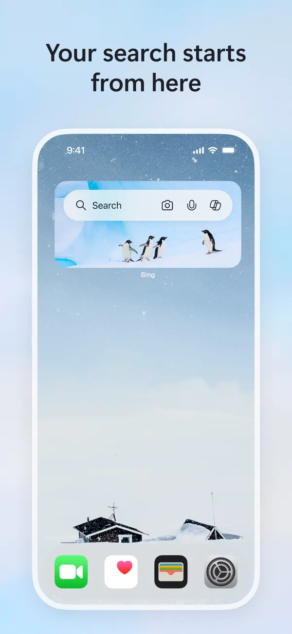 Microsoft Bing Search screenshot 1