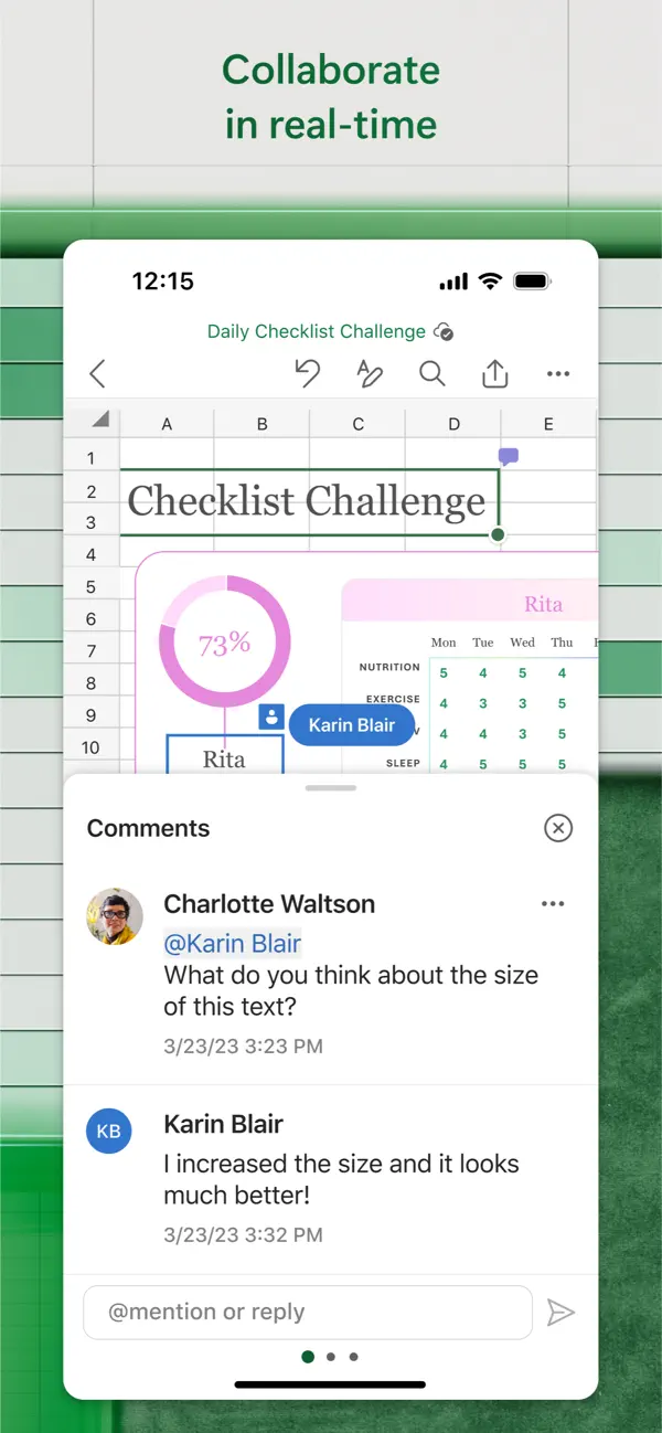 Microsoft Excel screenshot 1