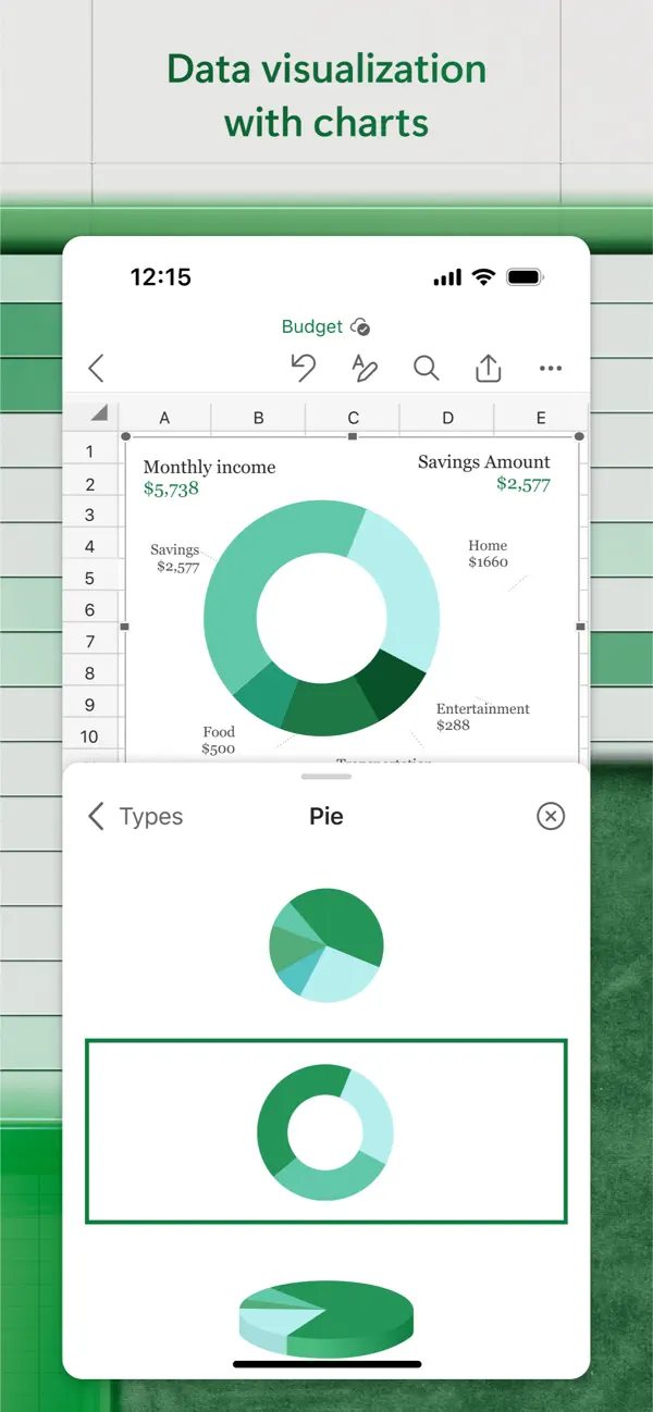 Microsoft Excel screenshot 3