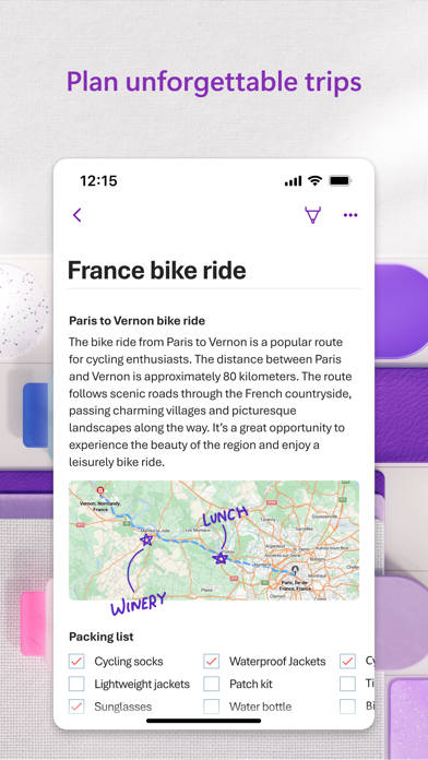 Microsoft OneNote screenshot 2