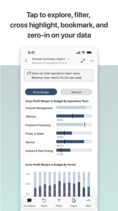 Microsoft Power BI screenshot 3