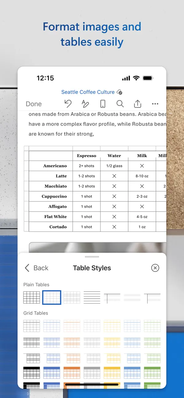 Microsoft Word screenshot 2