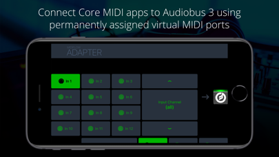 Midiflow Adapter (Audiobus) screenshot 2