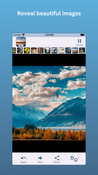 Milesoft Reveal screenshot 3
