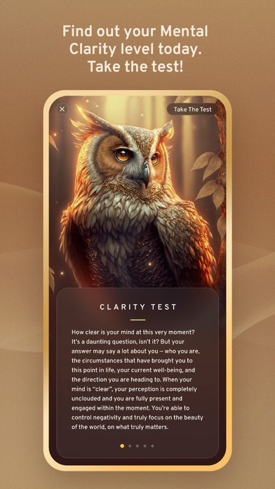 MindSpa.com Sound Therapy screenshot 4