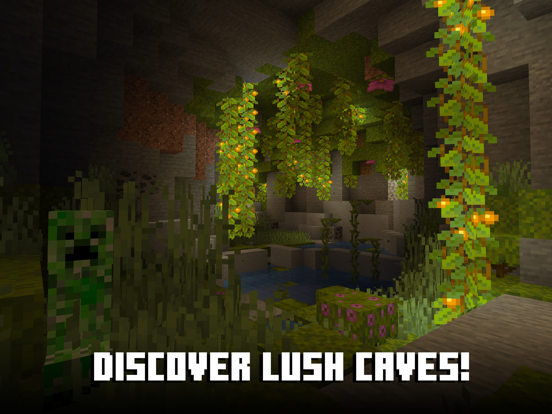 Minecraft: Dream it, Build it! screenshot 5
