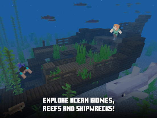 Minecraft: Dream it, Build it! screenshot 2