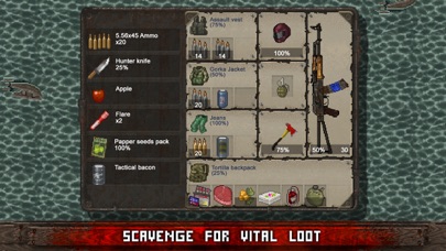 Mini DAYZ: Zombie Survival screenshot 2